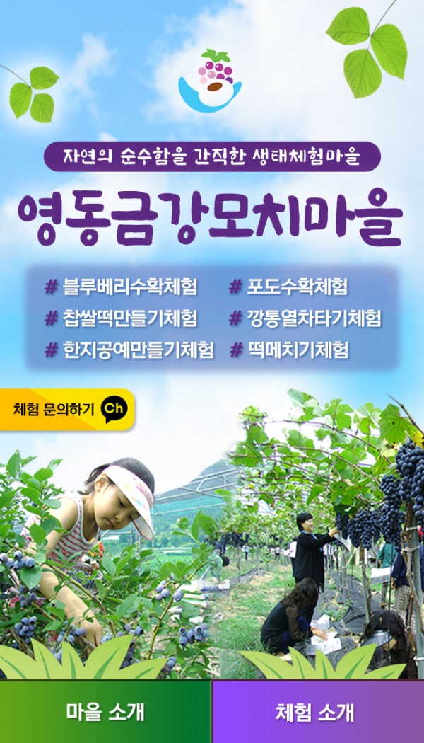 영동금강모치마을